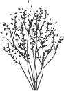 logotree