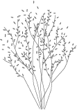 logotree